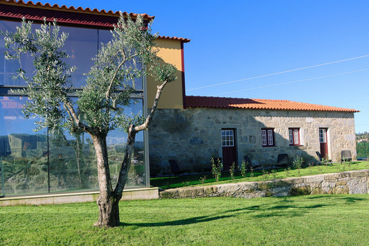 Solar da Pena, o seu refúgio histórico e vínico que a Invite Portugal lhe apresenta