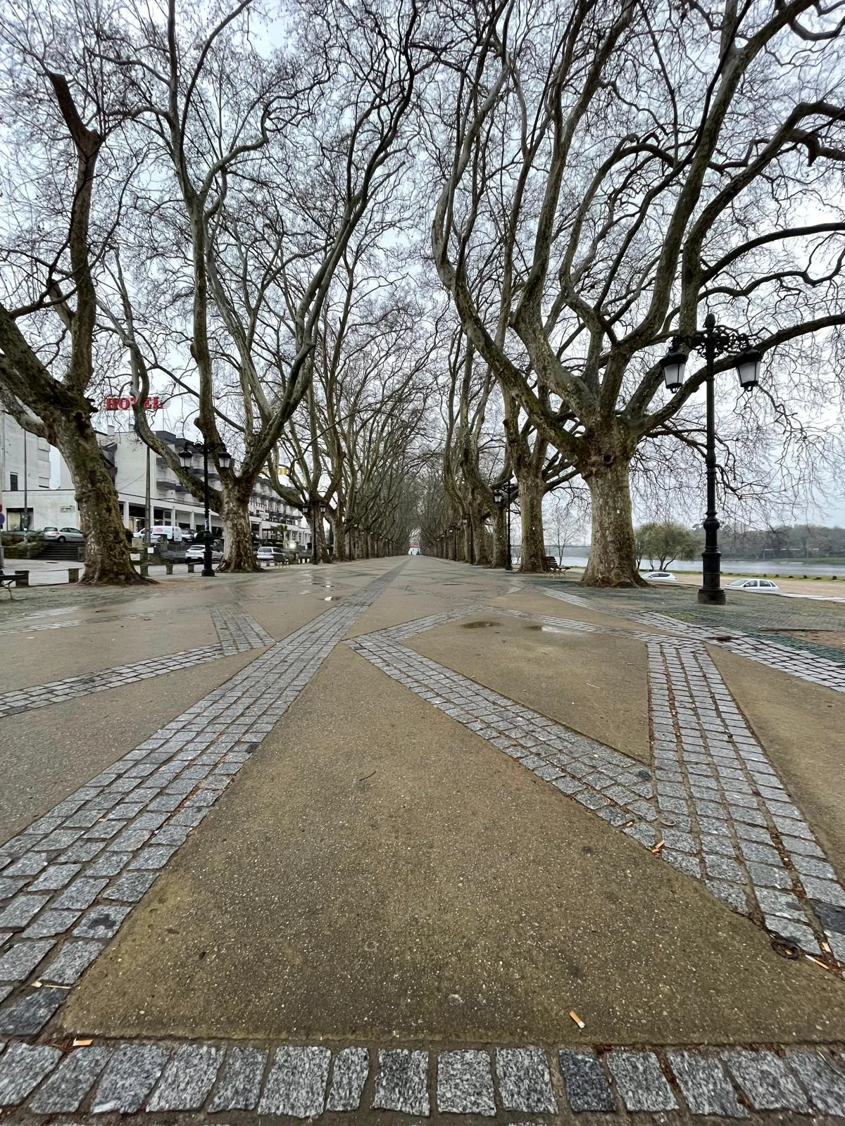Promenade arborée au bord d’une rivière