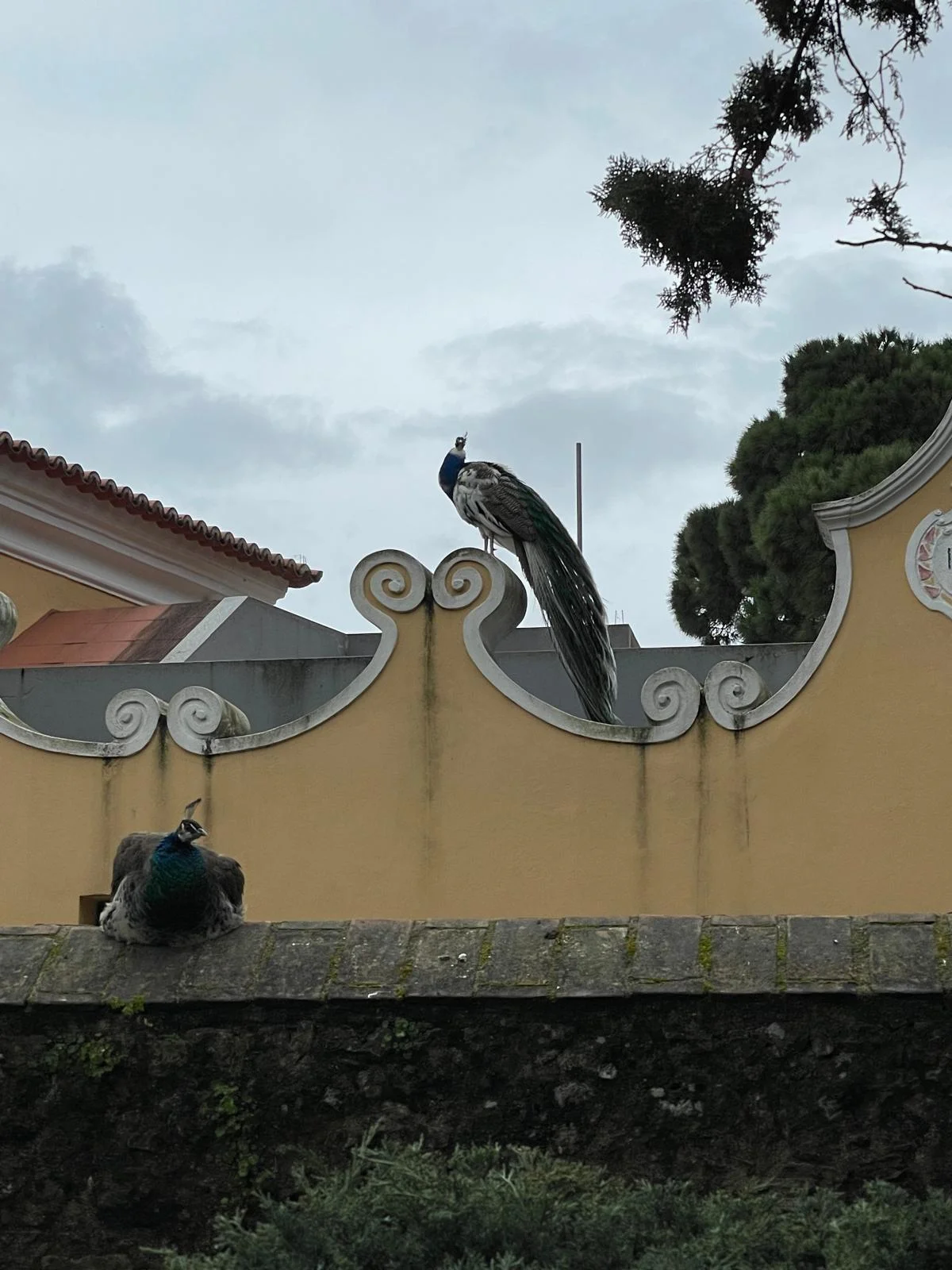 Toit architectural sous les nuages