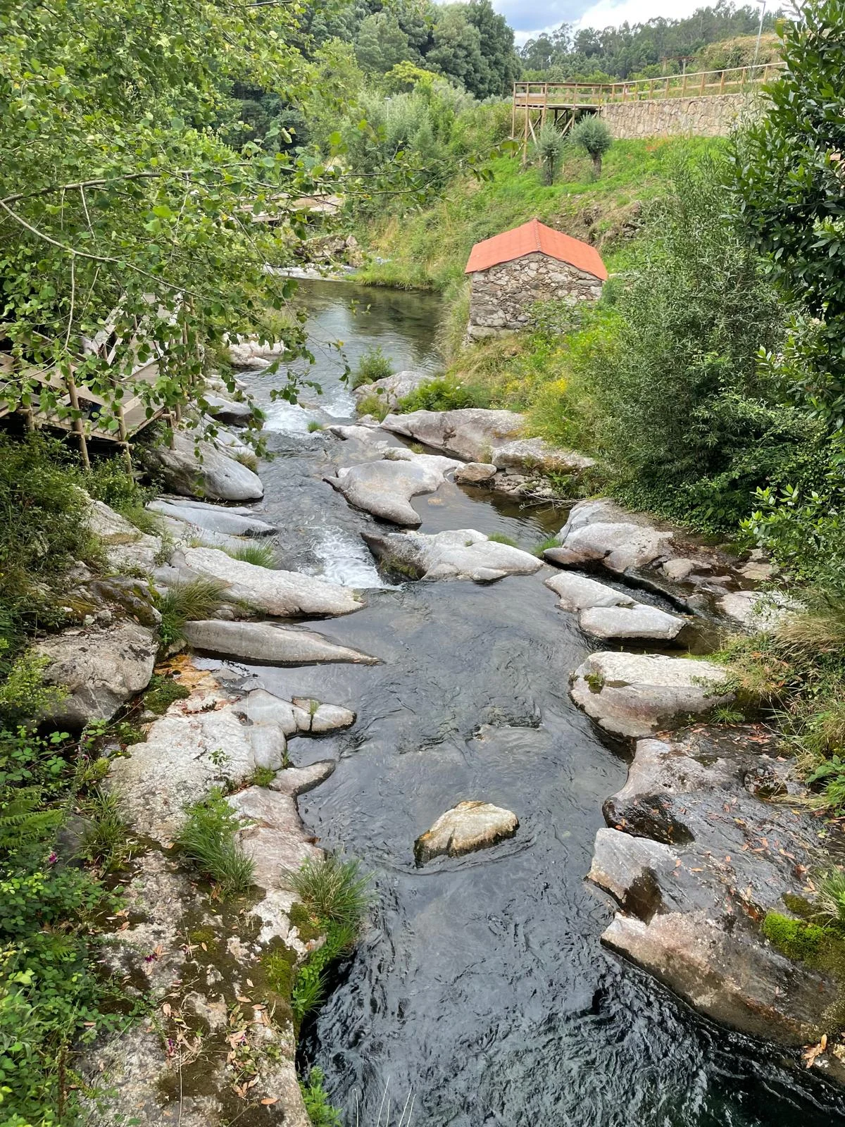 Ruisseau coulant entre rochers et végétation