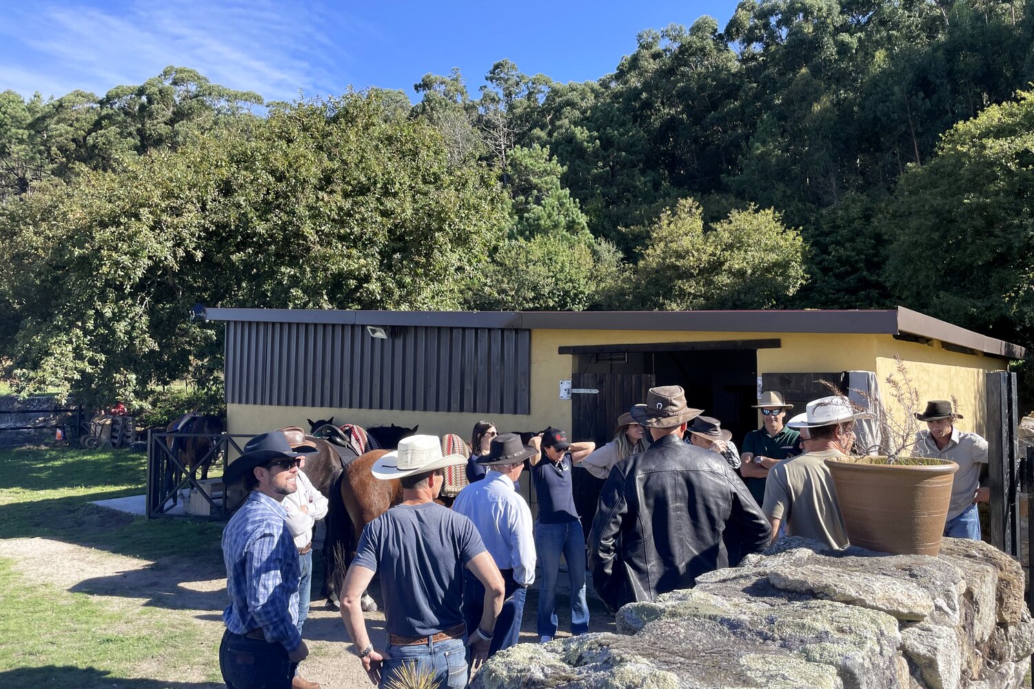 Grupo reunido junto a caballos en una actividad ecuestre en Portugal