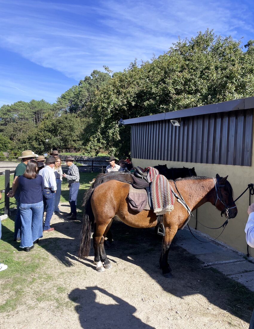Caballo ensillado junto a participantes de una experiencia de grupo